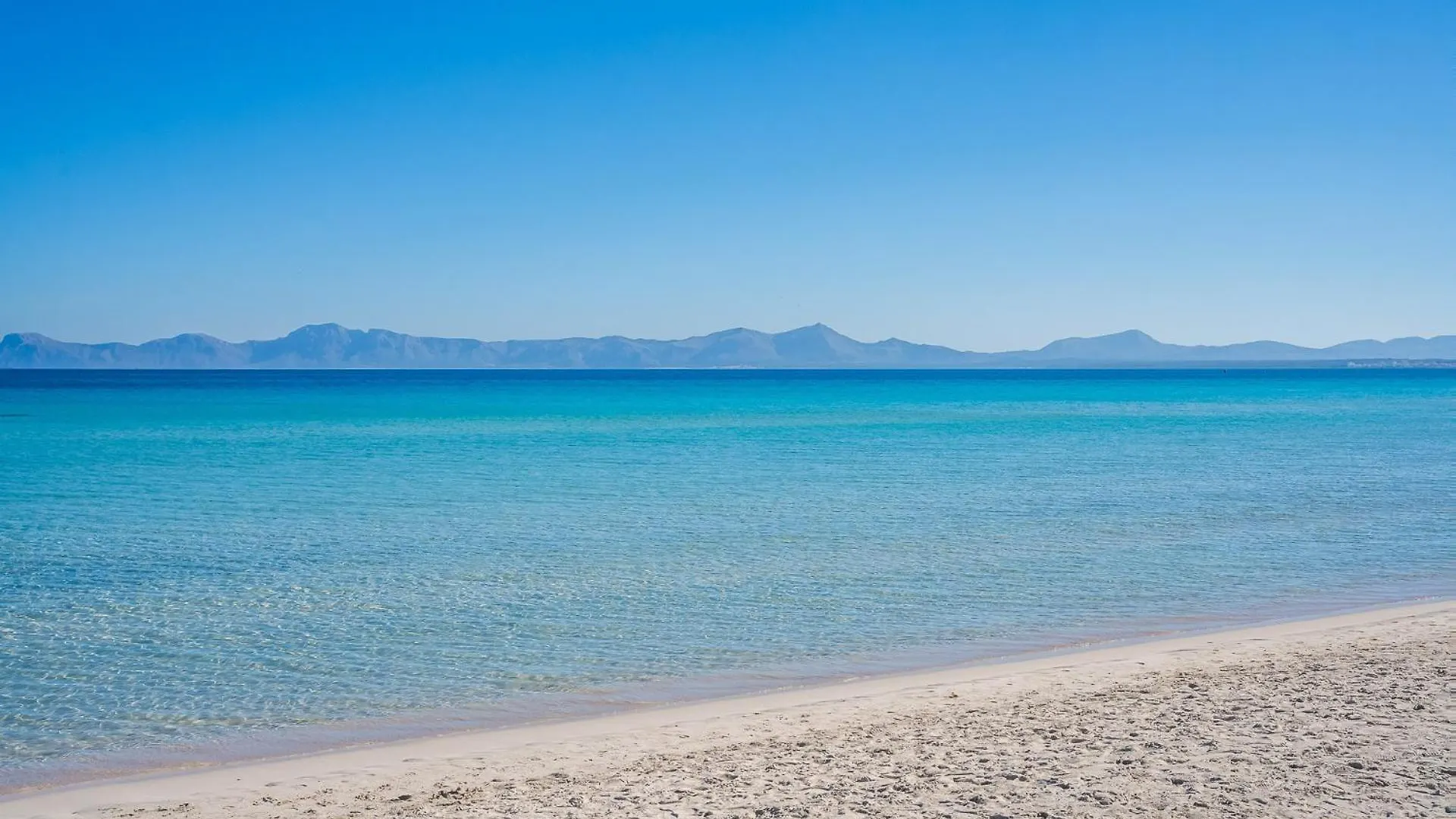 Ideal Property Mallorca - Flor Playa de Muro  Ferienhaus Playa de Muro (Mallorca)