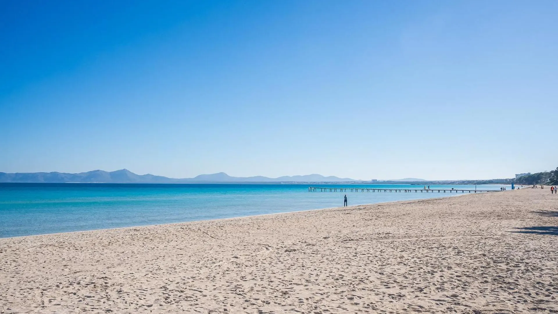 Ideal Property Mallorca - Flor Playa de Muro